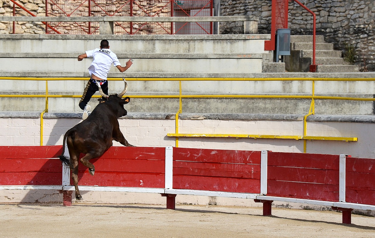 和纽约尼克