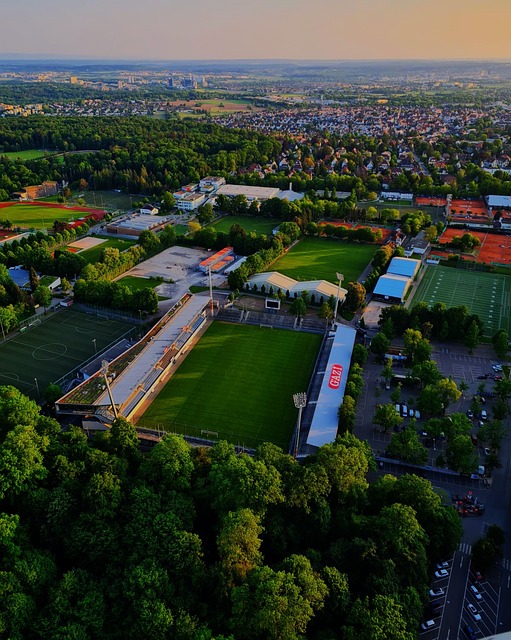 浓厚的兴趣 浓厚的兴趣