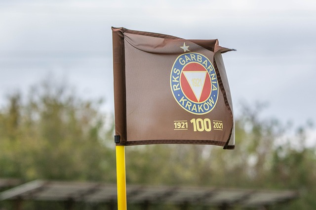 將紅葉林的 將紅葉林的