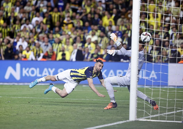 的球员表现 的球员表现