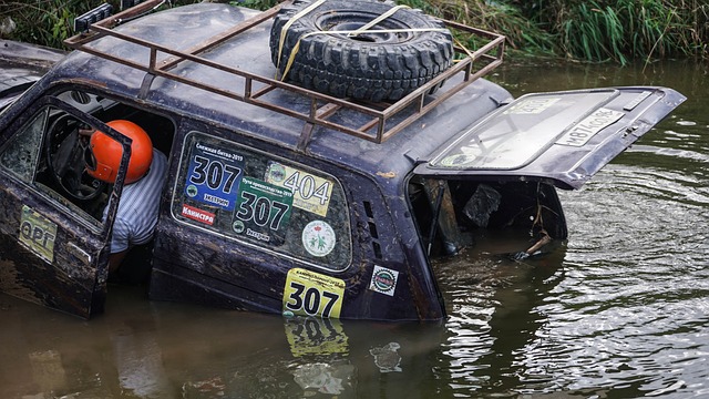 的重要看点 的重要看点
