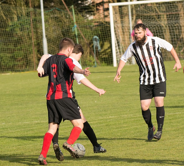 一项备受关 一项备受关